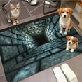 thumbnail image 1 of 3D Hole Rug - Absorbent Optical Illusion Rug, 3D Carpets Optical Illusion | Floor Mat | Absorbent Carpet for Home Workplace Bathroom Entryway Hallway Dorm Bathroom Kitchen Laundry Room-60*90cm, C3, 1 of 9