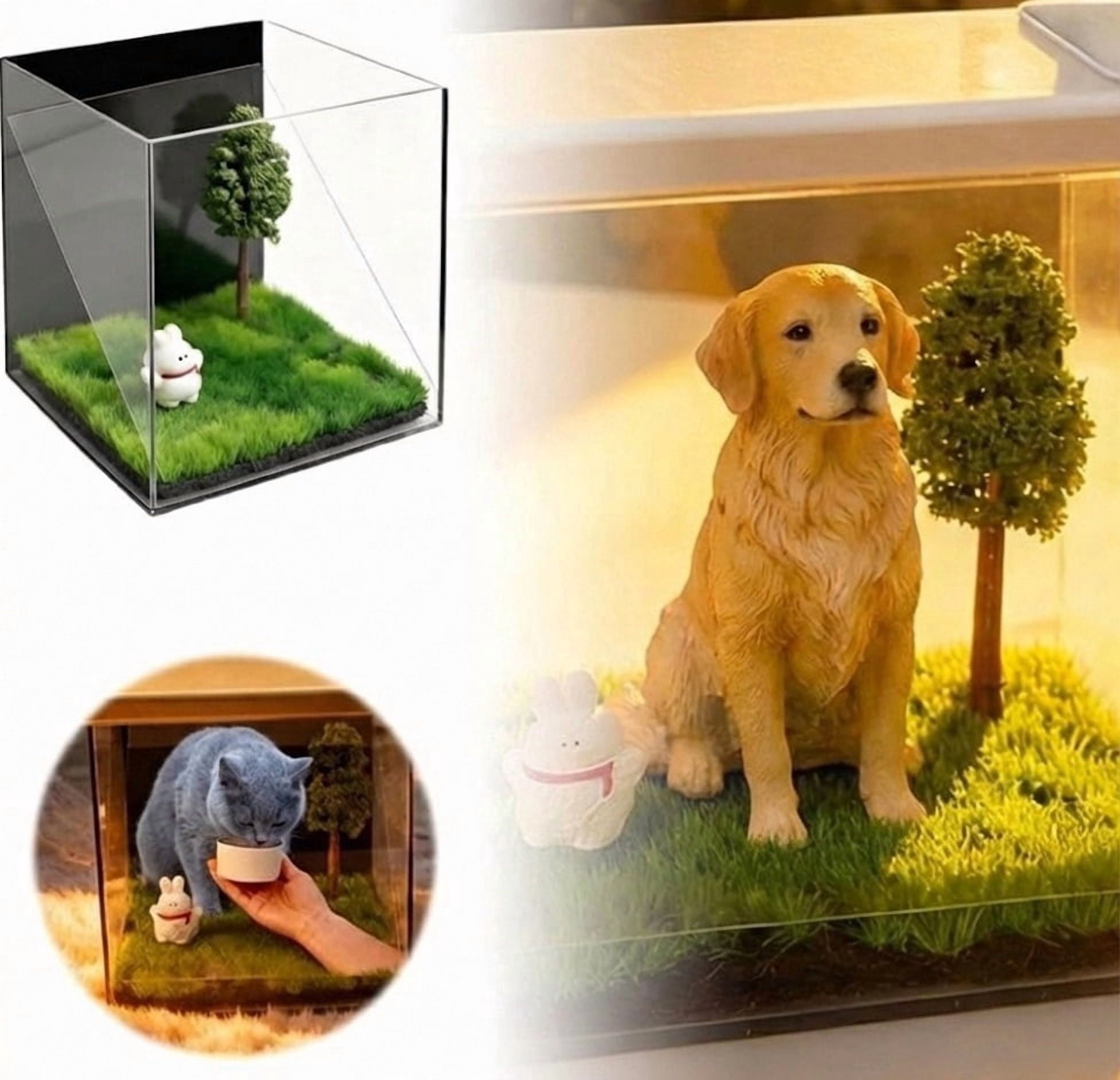 3D Holographic Pet Memorial Display Box - Acrylic Digital 