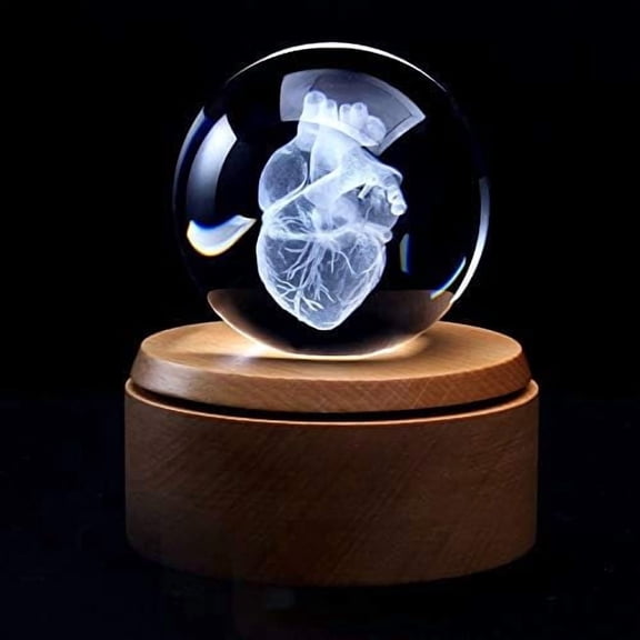 3D Human Heart Anatomical Model Paperweight(Laser Etched) in Crystal Glass Ball Science Gift (Included LED Base)$$Office