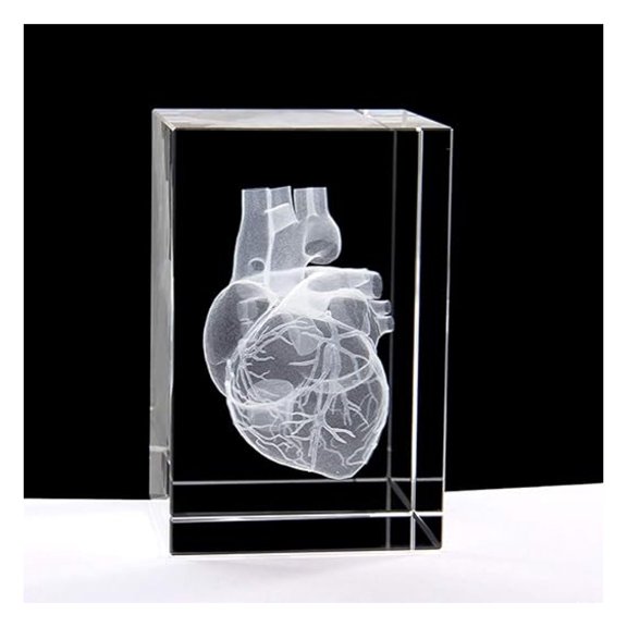 3D Human Heart Model Paperweight - Crystal Glass Anatomy Gift - Laser Etched Science Decor (3.1x2x2 inch, No LED Base)