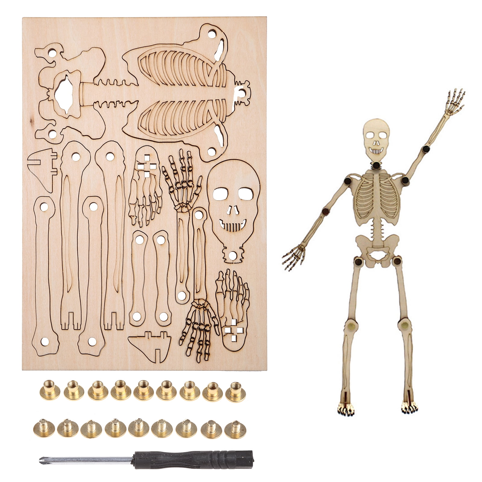 3d-human-skeleton-puzzle-model-early-learning-assembly-block-for-preschool-kids-walmart-com