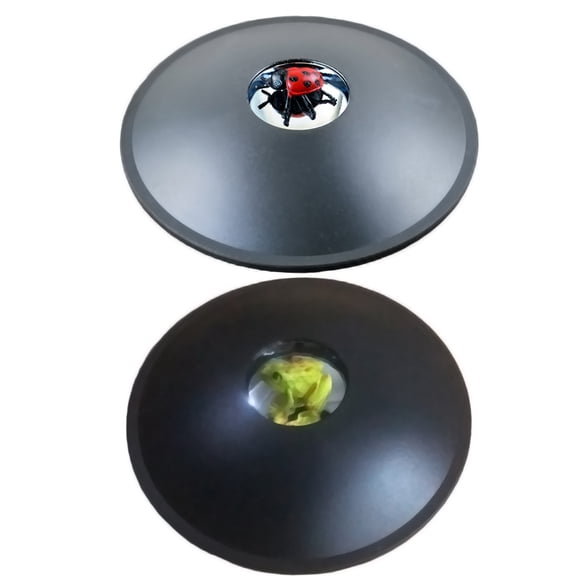 3D Illusion Toy, Frog Hologram Projector, Image Creator Device