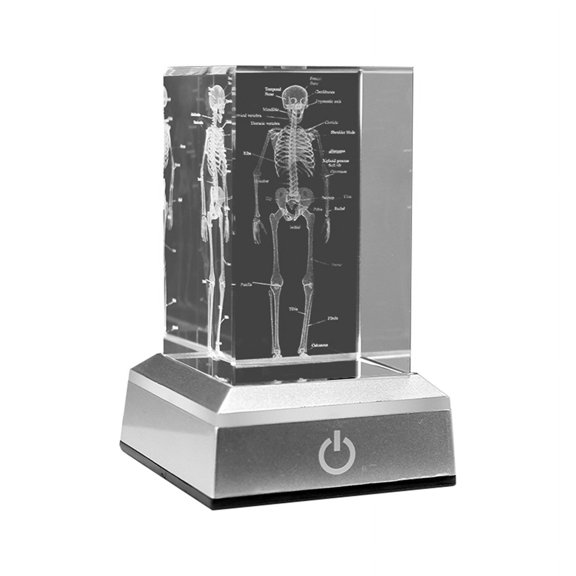3D Laser Engraved Human Skeletal Crystal Cube Figurines, Medical Science Gifts, Organ Anatomical Model Pa
