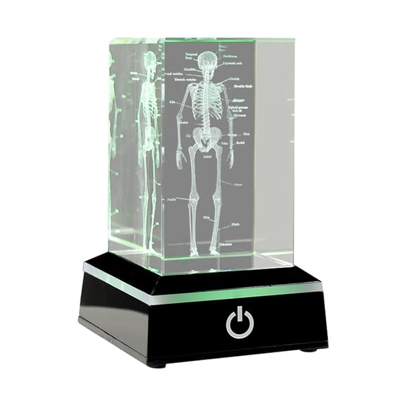 3D Laser Engraved Human Skeletal Crystal Cube Figurines, A