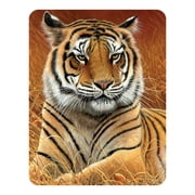 3D LiveLife Magnet - Aloof from Deluxebase. Lenticular Wild Animal Refrigerator Magnet. Decorative 3D Tiger Flat Magnets. Cute Small Magnets for Fridge, Dishwasher and Whiteboard.