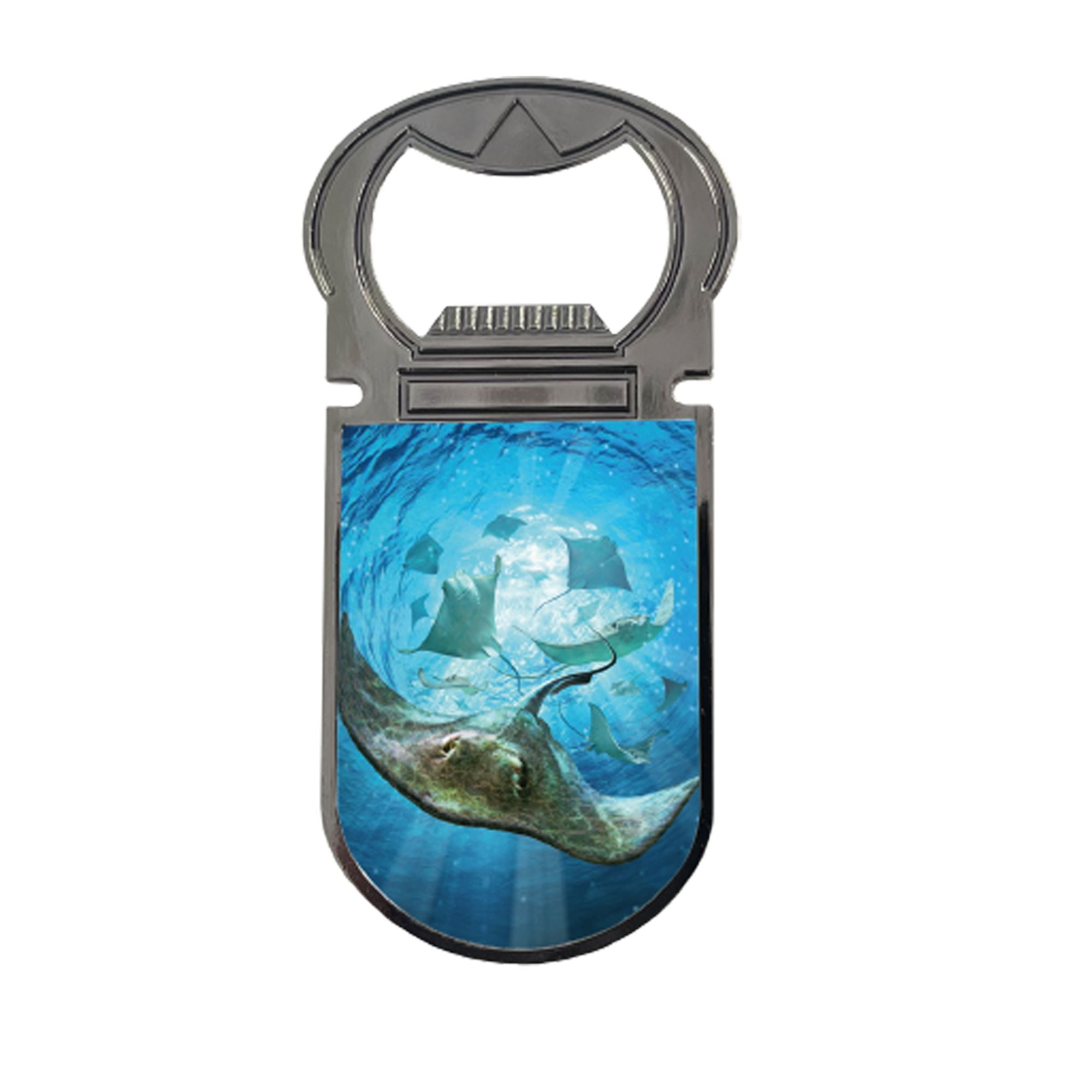 Sting - Bottle Opener Sting - Bottle Opener