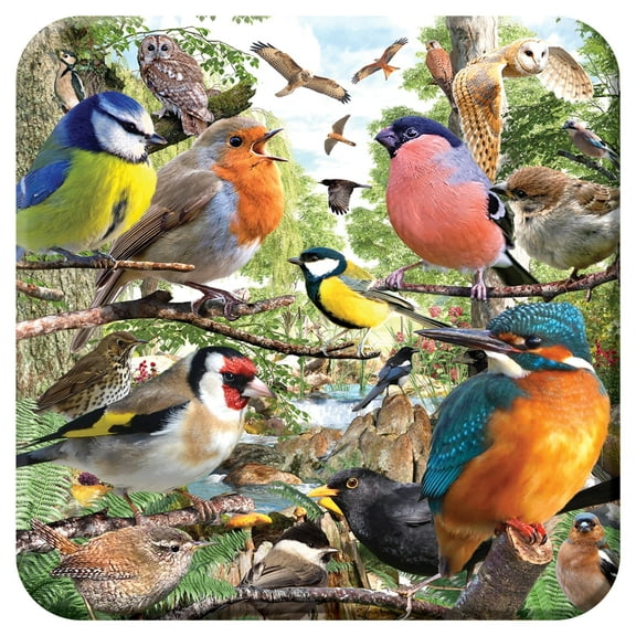 3D LiveLife Cork Coaster Nature’s Home by Deluxebase – 3D Bird Design – Non-Slip Table Decor Gift