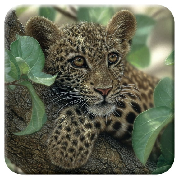 3D LiveLife Cork Coaster – Tree Hugger by Deluxebase. Lenticular Leopard Coaster by C. Bogle