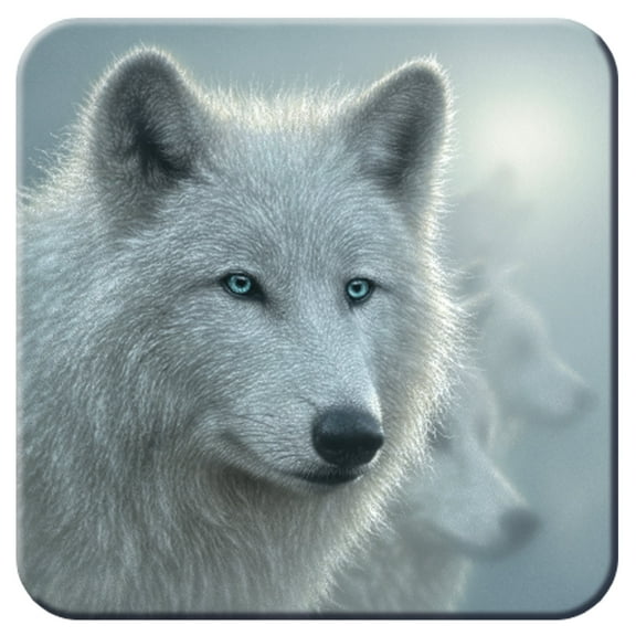 3D LiveLife Cork Coaster - White Out by Deluxebase | Lenticular 3D Wolf Coaster by Bogle