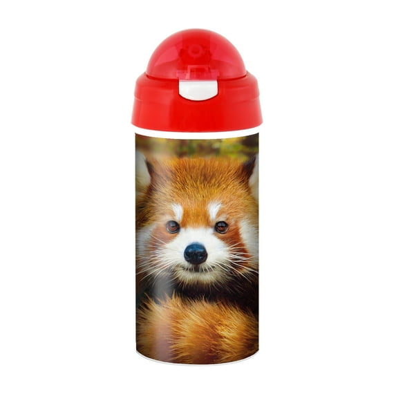 3D LiveLife Drinking Bottle Baby Red Panda by Deluxebase. 20oz BPA-Free Reusable Water Bottle