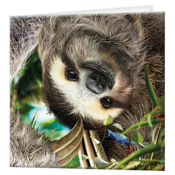 3D LiveLife Greeting Card – Hangin' Around by Deluxebase. Lenticular Sloth Card by D. Penfound