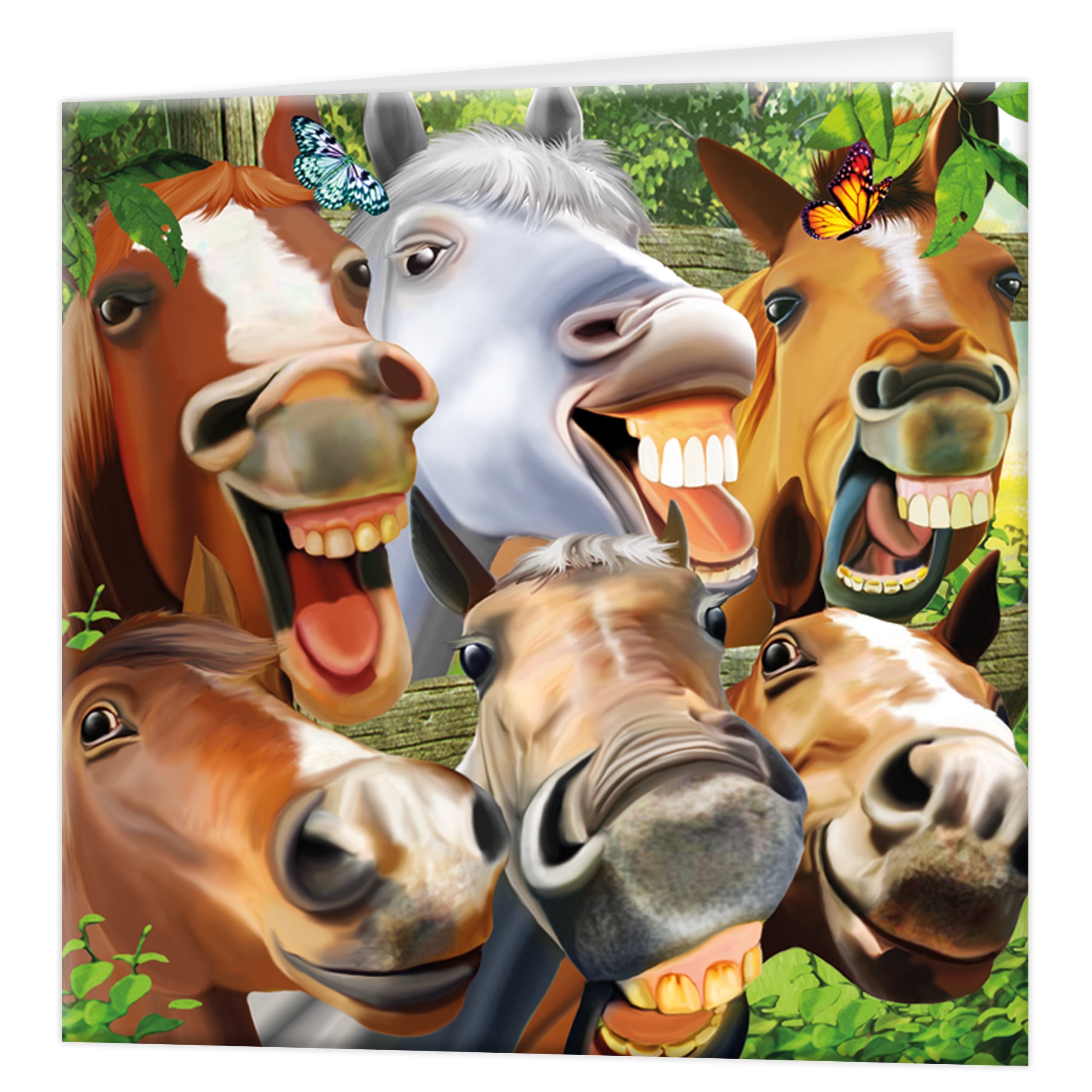 Horsing Around