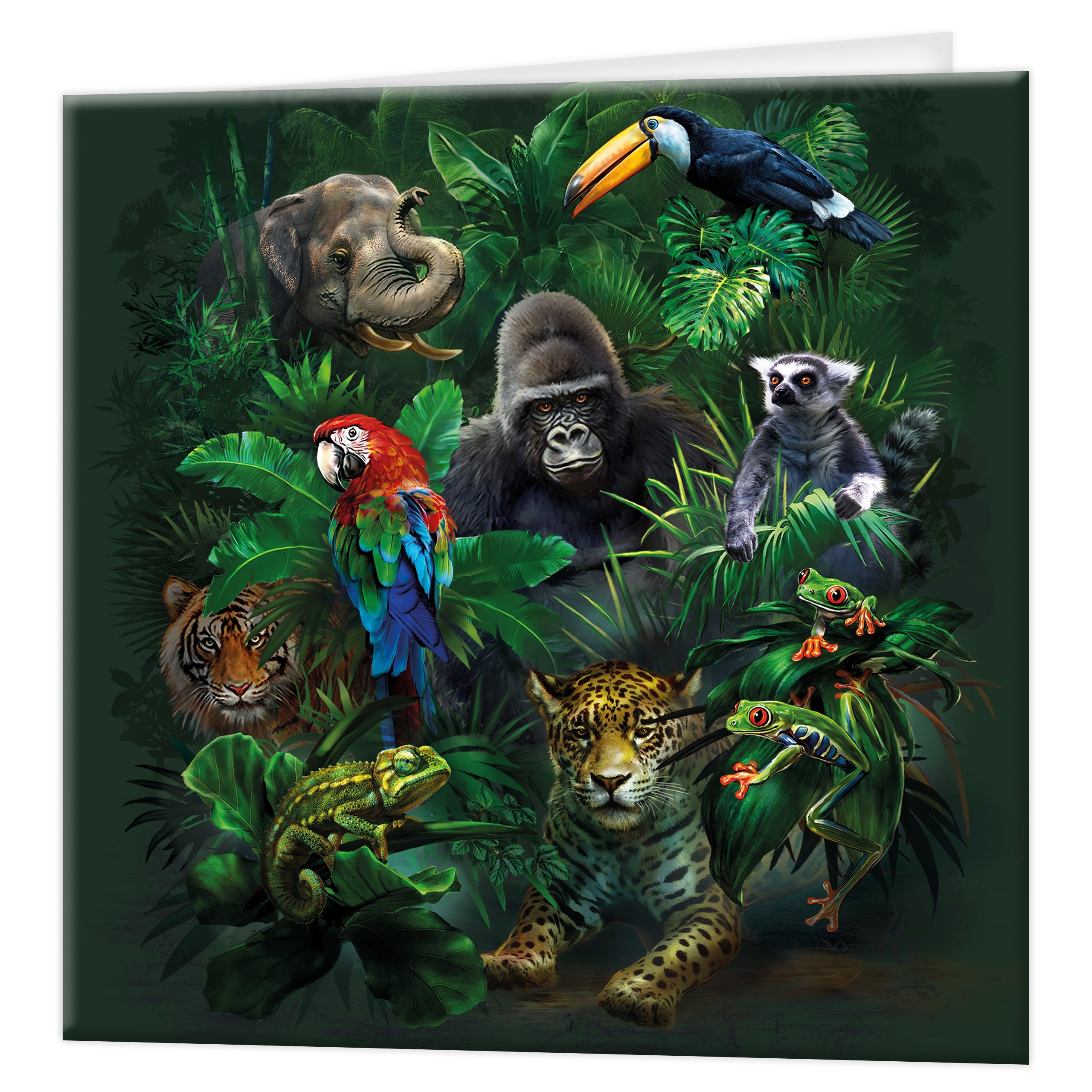 3D LiveLife Greeting Card - Jungle Pals from Deluxebase. Colourful Forest Animal Lenticular 3D Card for any occasion and age. Original artwork licensed from renowned artist, Tami Alba