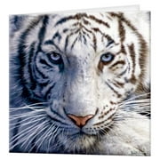 3D LiveLife Greeting Card - White Tiger Repose Lenticular Wildlife Card by Deluxebase