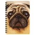 thumbnail image 1 of 3D LiveLife Jotter - Pug from Deluxebase. Spiral Bound A6 5.5x4in Small Animal Notebook, 80 Plain Recycled Pages, Dog Cover., 1 of 5