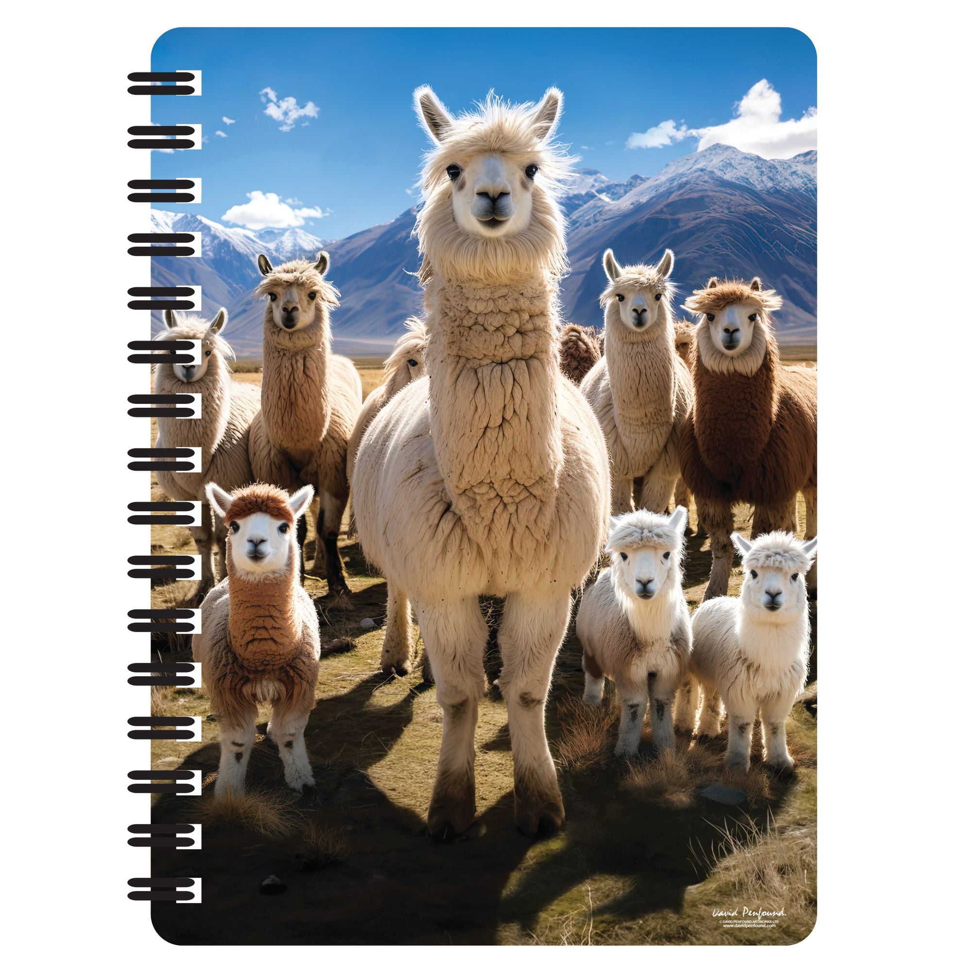 3D LiveLife Jotters - Llamarama From Deluxebase. Lenticular 3D Butterfly A6 Spiral Notebook With Plain Recycled Paper Pages Artwork Licensed From Renowned Artist David Penfound