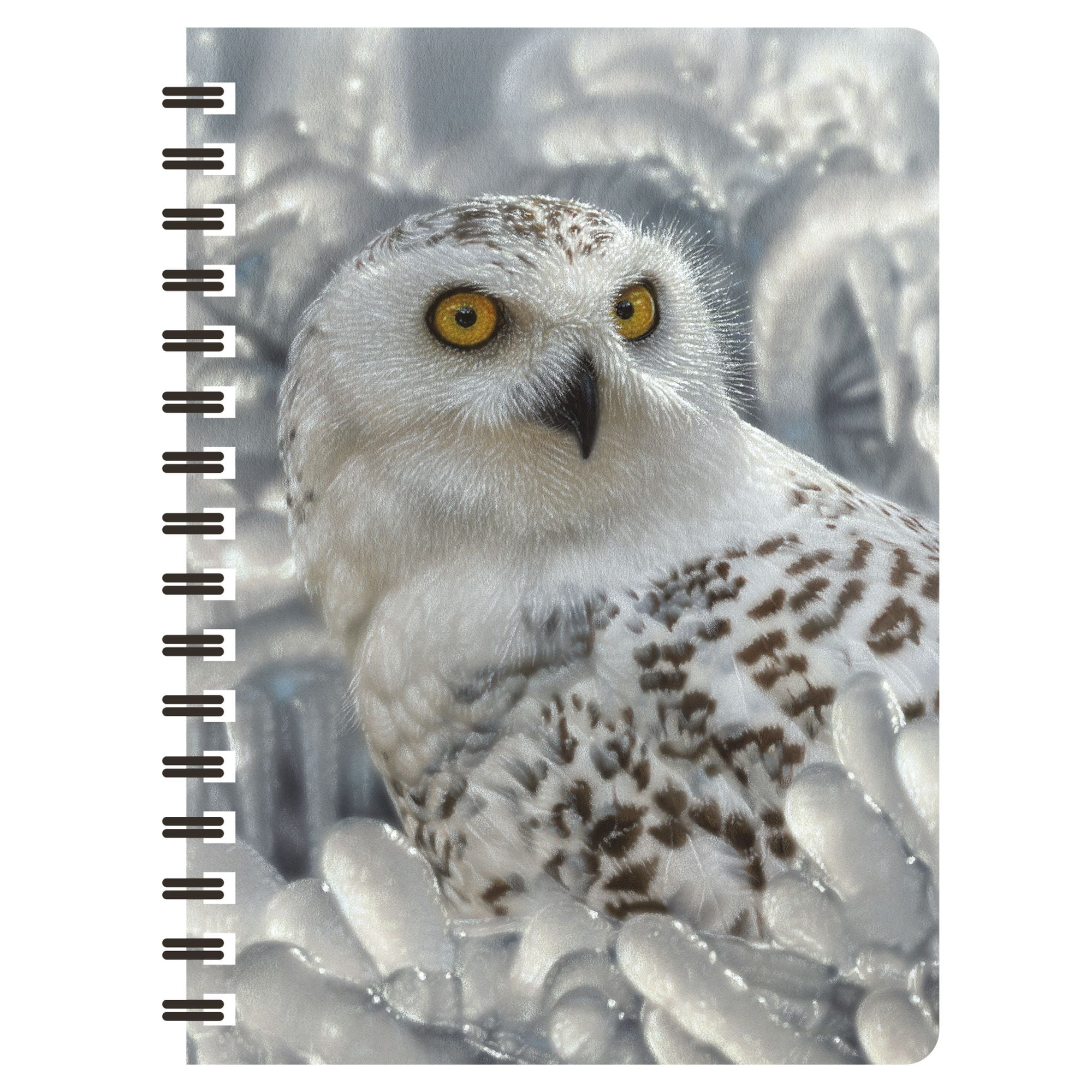 Cuaderno 3D LiveLife - Dino Smiles de Deluxebase. Cuaderno lenticula
