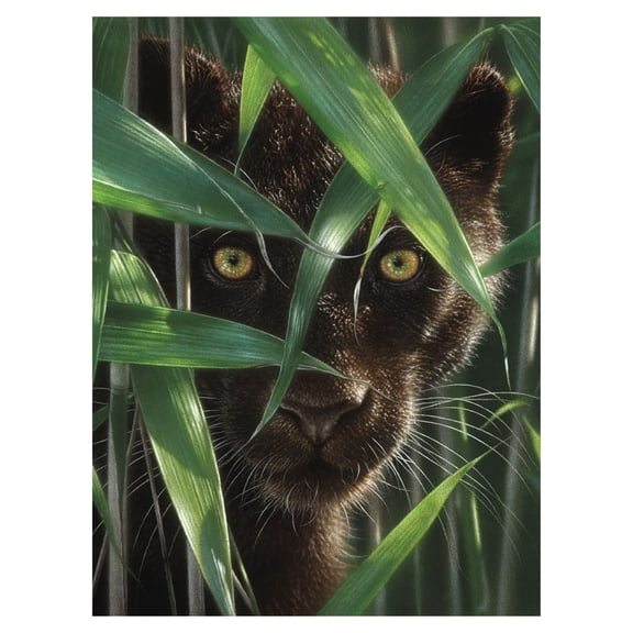 3D LiveLife Lenticular Wall Art - Wild Eyes by Deluxebase. Unframed 3D Panther Poster by Collin Bogle
