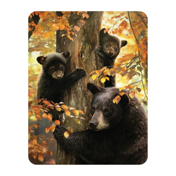 3D LiveLife Magnet - A Mother's Watch by Deluxebase Lenticular 3D Bear Fridge Magnet Decor