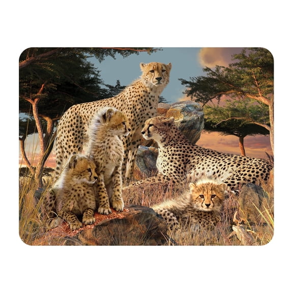 3D LiveLife Magnet - Cheetah Clan from Deluxebase. Lenticular Wild Animal Refrigerator Magnet. Decorative 3D Cheetah Flat Magnets. Cute Small Magnets for Fridge, Dishwasher and Whiteboard.