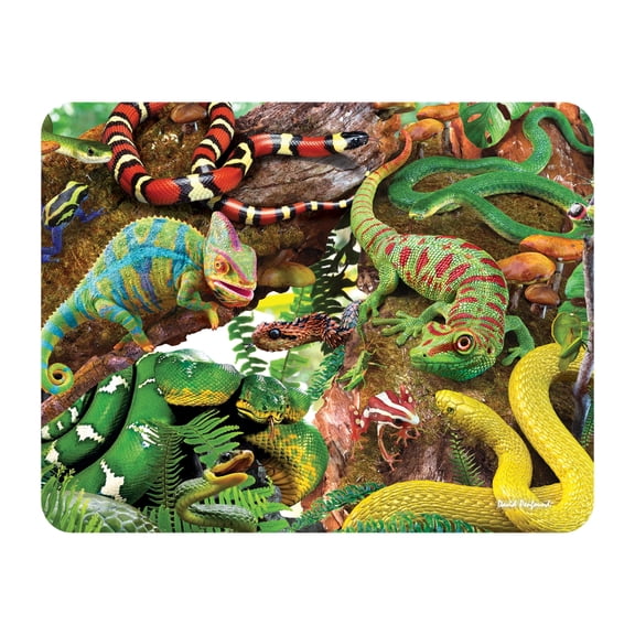 3D LiveLife Magnet - Curious Creatures from Deluxebase. Lenticular Wild Animal Refrigerator Magnet. Decorative 3D Reptile Flat Magnets. Cute Small Magnets for Fridge, Dishwasher and Whiteboard.