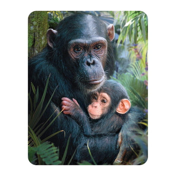 3D LiveLife Magnet - Cute Cuddles from Deluxebase. Lenticular Wild Animal Refrigerator Magnet. Decorative 3D Monkey Flat Magnets. Cute Small Magnets for Fridge, Dishwasher and Whiteboard.