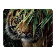 3D LiveLife Magnet - Emerald Forest from Deluxebase. Lenticular Wild Animal Refrigerator Magnet. Decorative 3D Tiger Flat Magnets. Cute Small Magnets for Fridge, Dishwasher and Whiteboard.