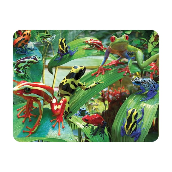 3D LiveLife Magnet - Funky Frogs Lenticular 3D Frog Fridge Magnet Magnetic Decor by Deluxebase