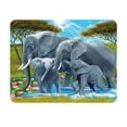 thumbnail image 1 of 3D LiveLife Magnet - Pachyderm Pals Lenticular 3D Elephant Fridge Magnet Magnetic Decor by Deluxebase, 1 of 2