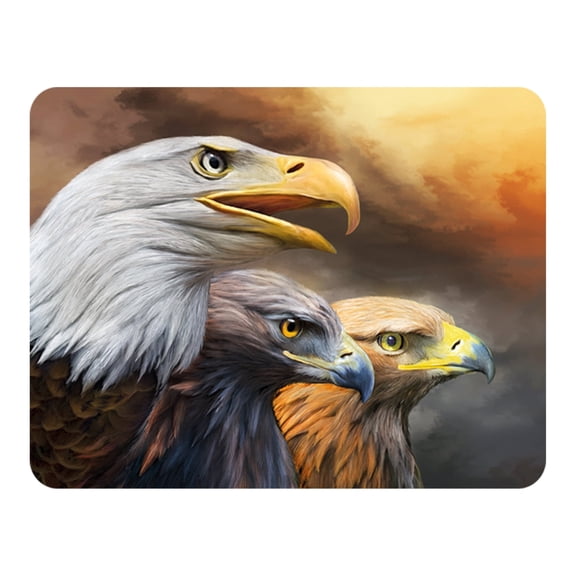 3D LiveLife Magnet - Three Eagles from Deluxebase. Lenticular Wild Animal Refrigerator Magnet. Decorative 3D Bird Flat Magnets. Cute Small Magnets for Fridge, Dishwasher and Whiteboard.