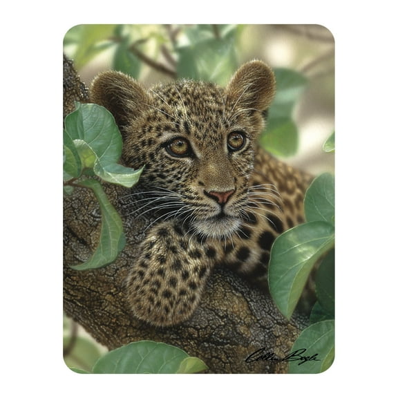 3D LiveLife Magnet - Tree Hugger Lenticular 3D Big Cat Fridge Magnet Magnetic Decor by Deluxebase