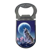 3D LiveLife Bottle Openers - Moonlight Sonata by Deluxebase. Magnetic Drink Opener with 3D Image. Fridge Magnet for Kitchen and Bar Accessories.