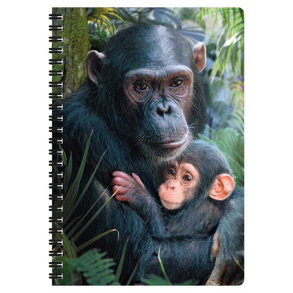 3D LiveLife Notebooks - Cute Cuddles from Deluxebase. Ruled 8.2" x 5.7" Medium Notepad. 80 Page Spiral Bound Notebook with Lenticular Monkey Cover. Wild Animal Journal for Women and Men.