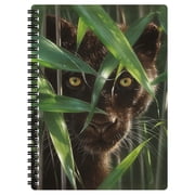 3D LiveLife Notebooks - Wild Eyes from Deluxebase. Ruled 8.2" x 5.7" Medium Notepad. 80 Page Spiral Bound Notebook with Lenticular Leopard Cover.
