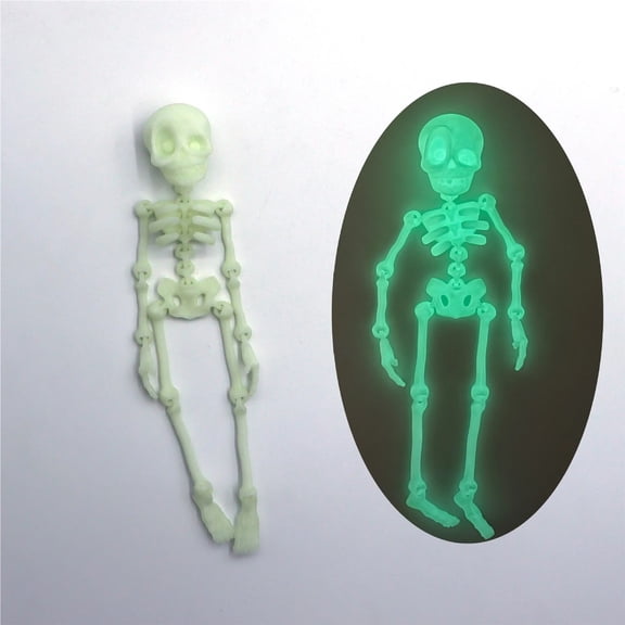3D Mini Skeleton Fridge Magnet Magnetic Poseable Skull Creativity Model Ornaments Fridge Home Decoration Mini Display Board
