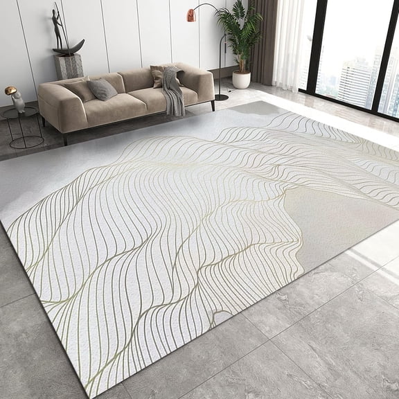3D Modern Minimalist Area Rugs, Gray Curved Line Stripes Apartment Carpet, Entrance Carpet Short Velvet Comfortable Feet Apply to Home Nursery College Dorm Family and Pet 3x5ft