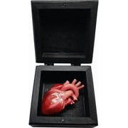 3D My Heart in A Box, A Human Heart in a Box Funny Heart Ornaments Valentines Day Gift, Small Human Heartor Box Express Your Love to Lovers Black