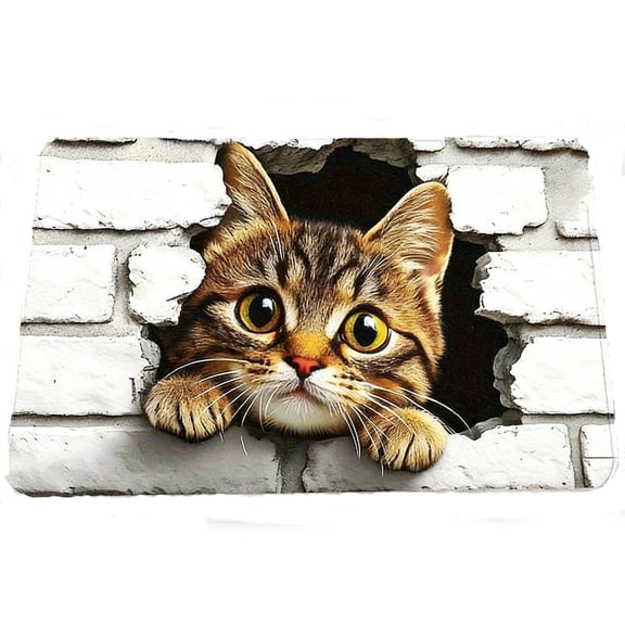 3D Optical Illusion Hole in The Floor Rug Front Door Mat, Kids Playroom Floor Carpet Mat Non-Slip for Indoor Outdoor Entrance, Living Room, Office, Bedroom, Study, Terrace Porch M 30"x48"