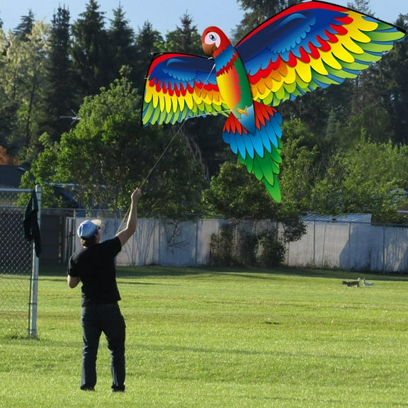 3D Parrot Shaped Kite 140Cm With 100M Line And Tail Outdoor Flying Toy