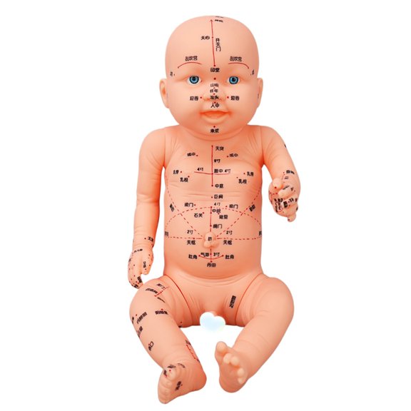 3D Pediatric Acupoint Learning Model with Clear Labels for Study