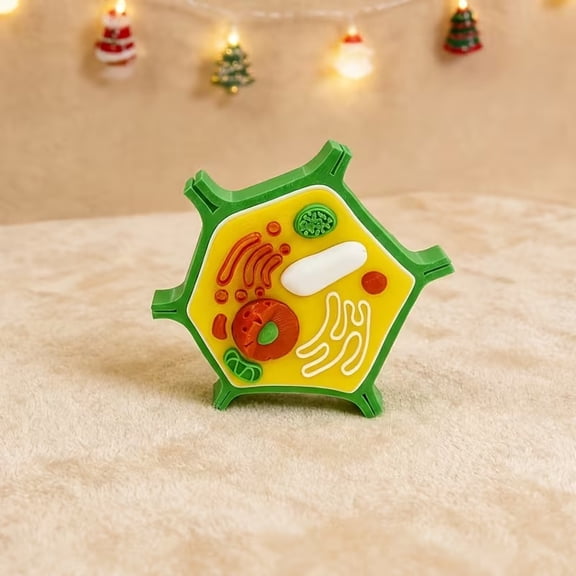 3D Plant & Animal Cell Models for Biology Education Science Decor