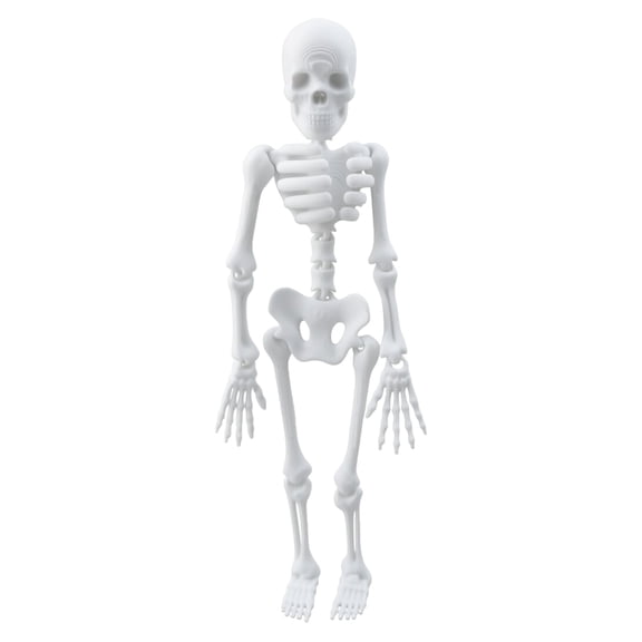 3D Printed Articulated Skeleton Figurine Movable Joint Decor For Desktop Display Fridge Decor Halloween Party,White-15Cm