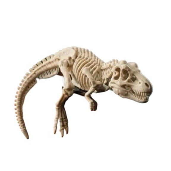 3D Printed Articulated T-Rex Skeleton Sculpture, Desk Decor Home Office