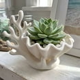 thumbnail image 1 of 3D Printed Coastal Jewelry Organizer, Seashell Trinket Dish & Necklace Tree Stand, Resin Vanity Holder for Rings Earrings Small Succulents, Compact Small Space Storage for Dresser Bathroom Counter, 1 of 6