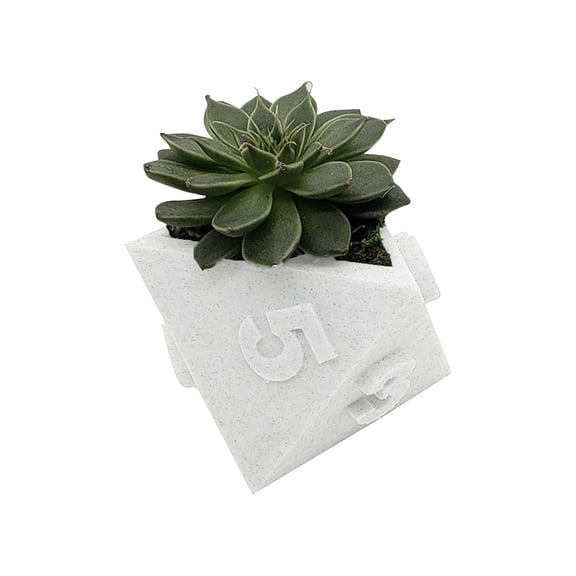 3D Printed RPG Dice Planter Set,Table Top Flower Pot for Home Decoration,3D Printed Plant Pot,Unique Garden Pot for Bedroom Office Desk Home Decor