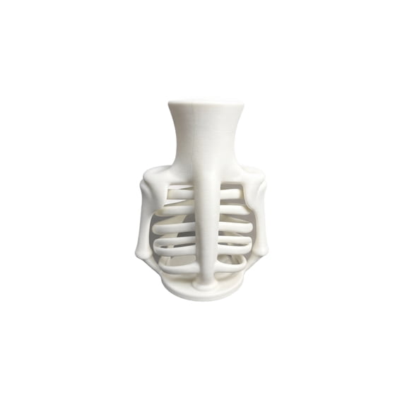 3D Printed Rib Cage Vase, Gothic Skeleton Flower Holder, Bone Style Decorative Vase for Dried Flowers, Desk Shelf Home Office Decor