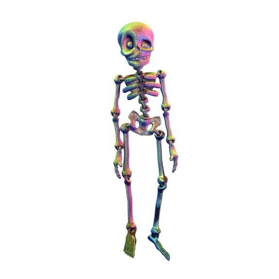 3D Printed Skeleton Refrigerator Magnets - Skeleton Magnets for Rridge, Decorative Fridge & Locker Magnetic Skeleton for Refrigerator, Skull Magnets for Kitchen, Office, and Garage 18cm Laser Color