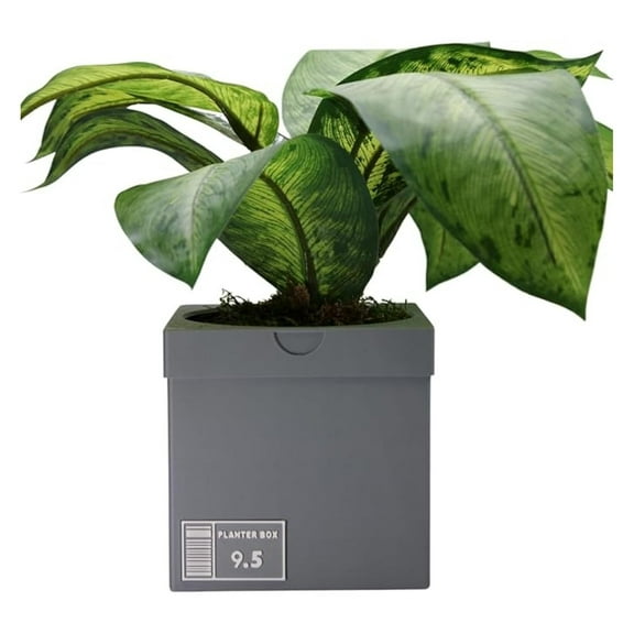 3D Printed Sneakers Planter Pot - Gray Shoe Box Design - Indoor Plant Pot with Drainage - Modern Home Decor Gift - Made in USA