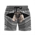 3D Printing Hawaii Pattern Beach Shorts For Men Summer Fashion Casual