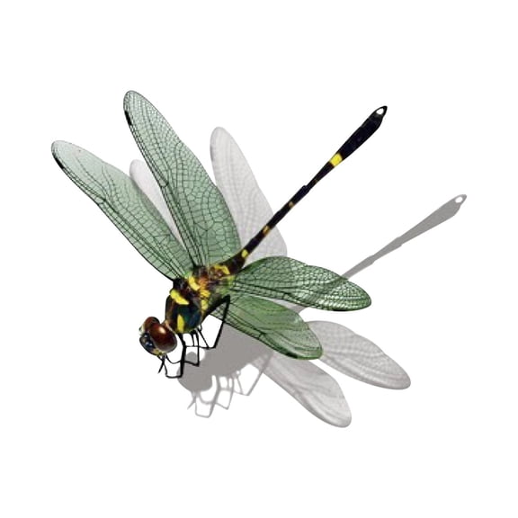 3D Realistic Animal Decal for Auto Window Decoration Crack Effect Sticker Art